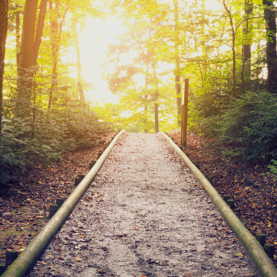 Séminaire "La régression en âge : formation de base - session 8 - mai et juin 2026" - Dr Mike Schekter et Mme Martine Oswald 