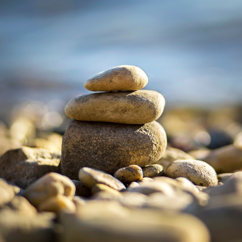 Formations professionnelles de base