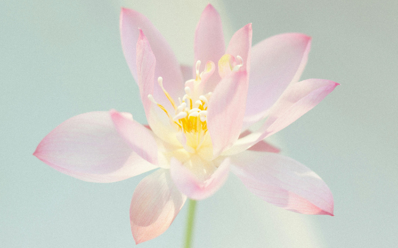 Atelier d'initiation à l'auto-hypnose