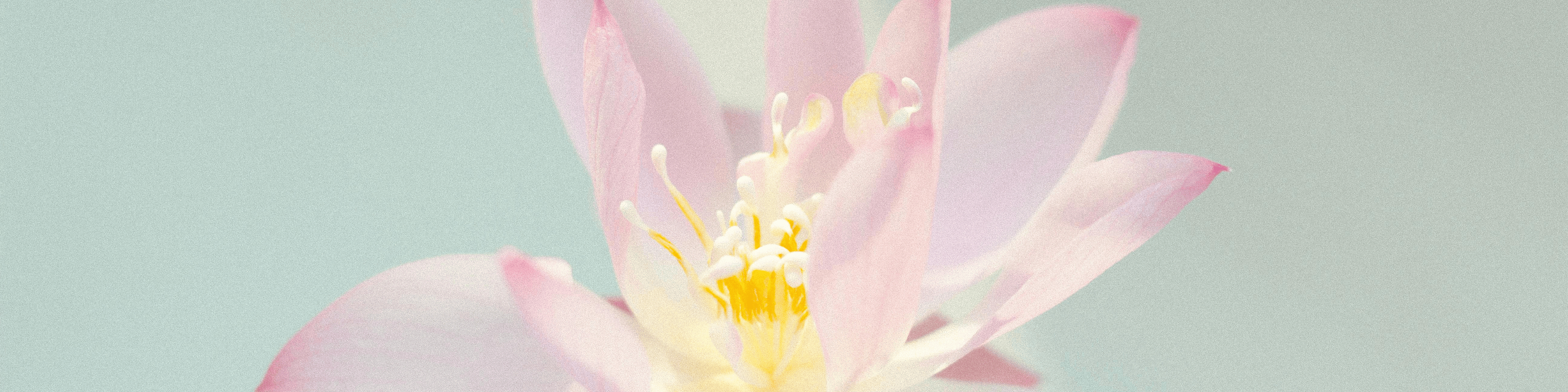 unite_slider_bandeau_IRHYS_11