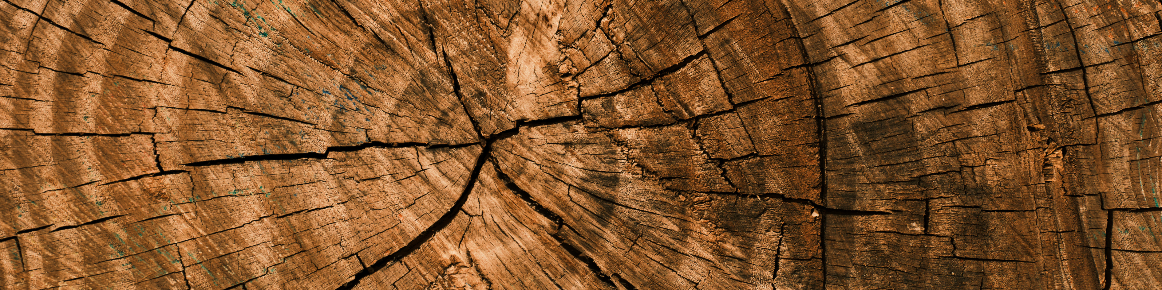 unite_slider_bandeau_IRHYS_8