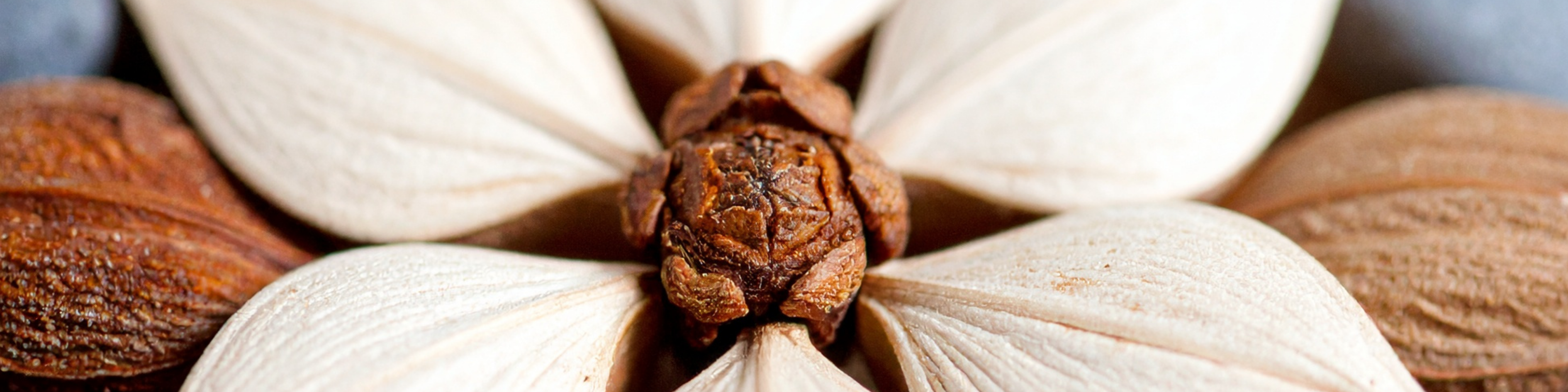 unite_slider_bandeau_IRHYS_9